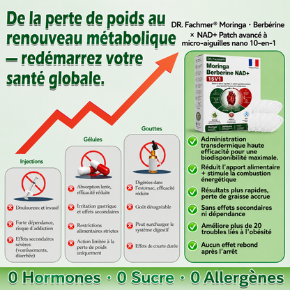 Boutique officielle | 🇫🇷⚡️DR. Fachmer® Moringa · Berbérine × NAD+ Patch Nano Microneedle 10-en-1 🇫🇷 1 fois par jour – résultats visibles en 7 jours ✅ Pour le contrôle du poids, la peau relâchée, le métabolisme et le bien-être général.